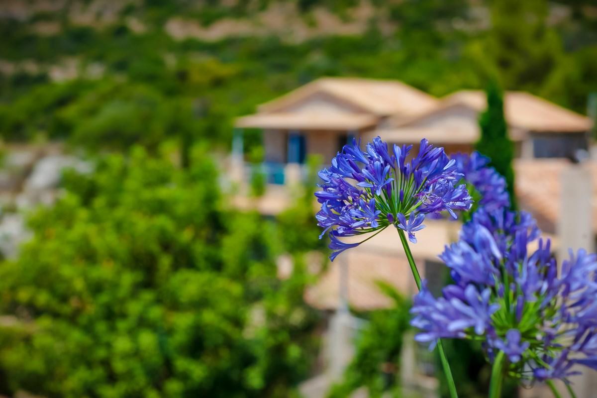 Notos Hotel Kardamyli Exterior foto